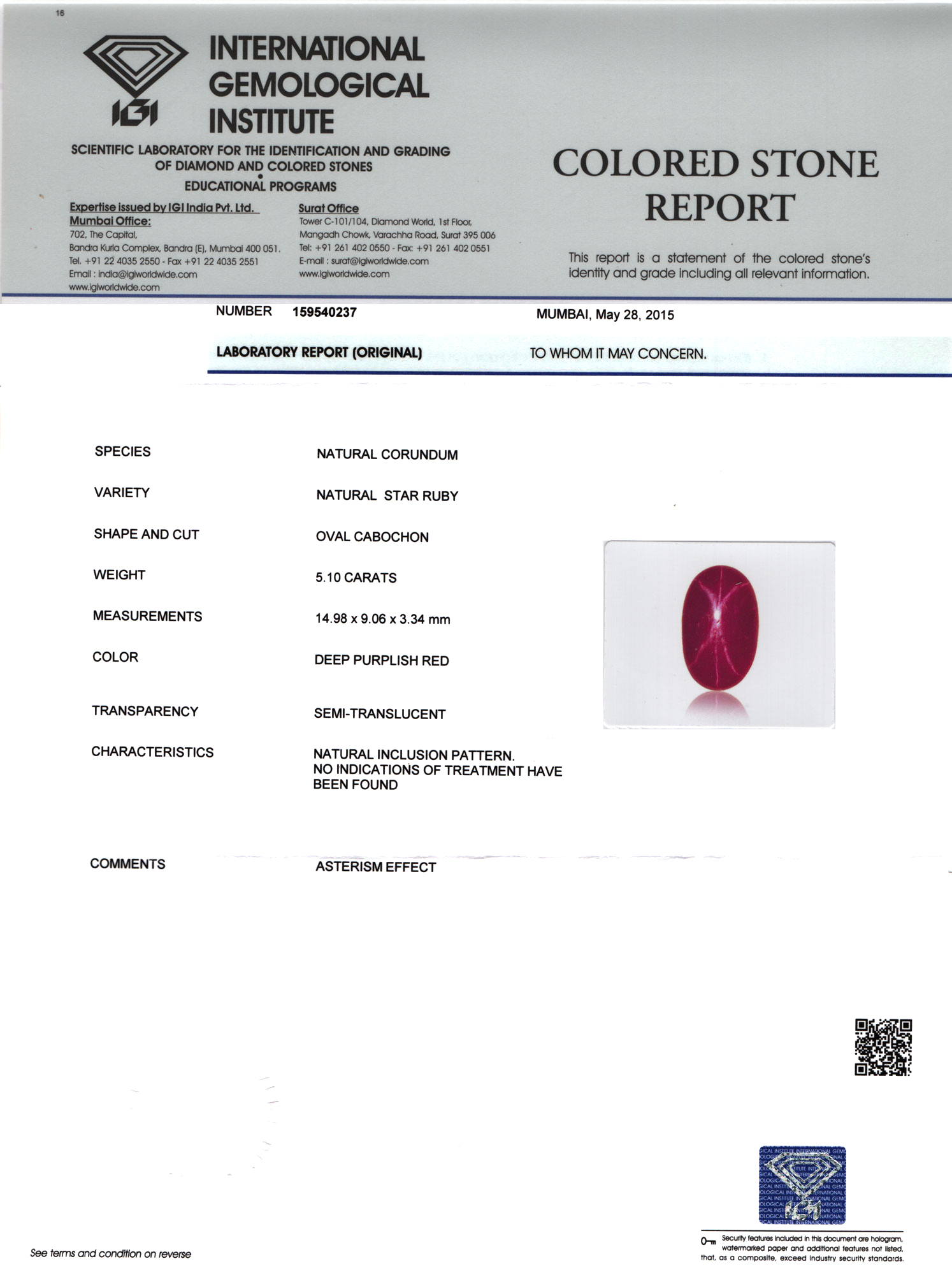 Report-A2-1.jpg