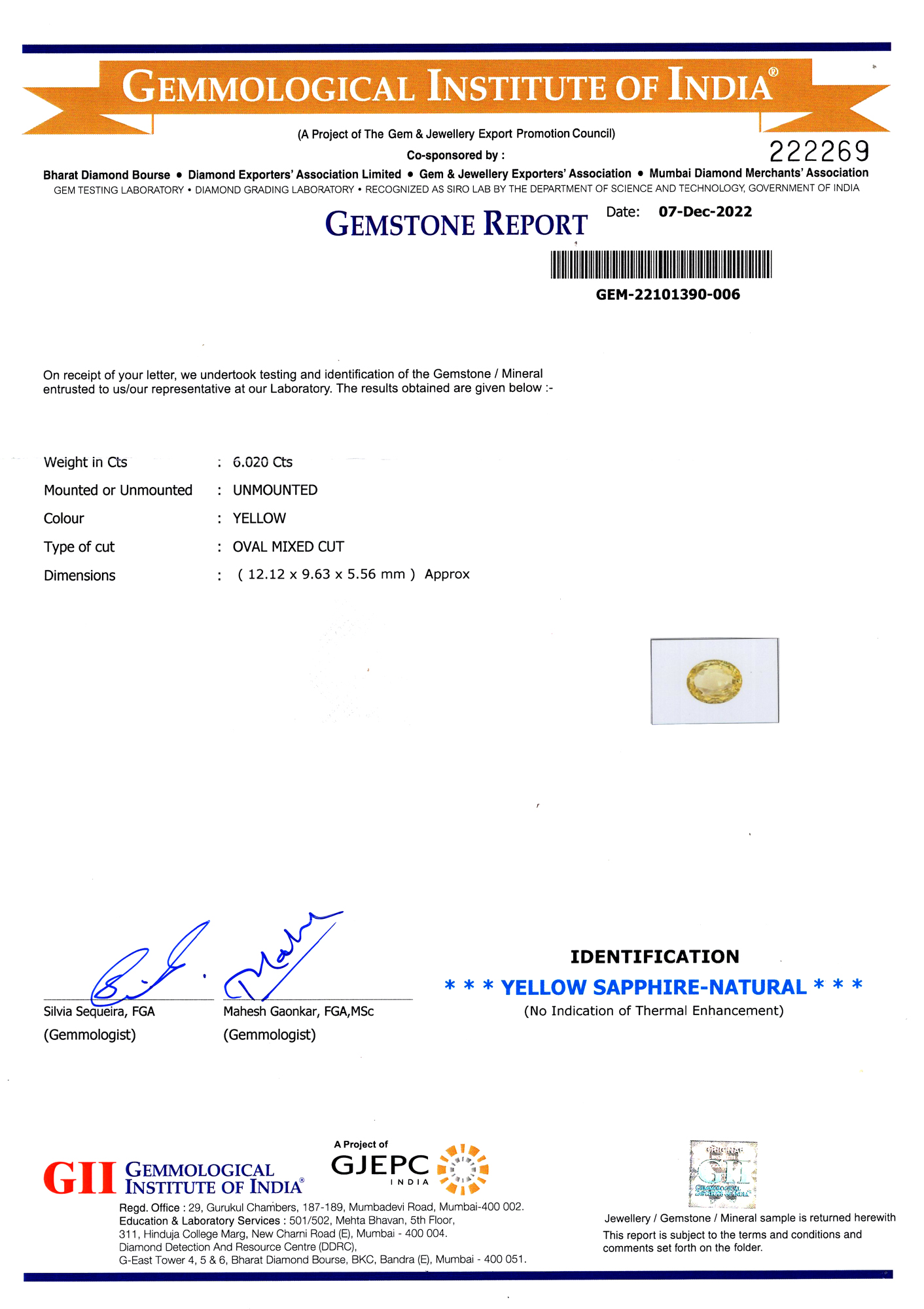 Report Image