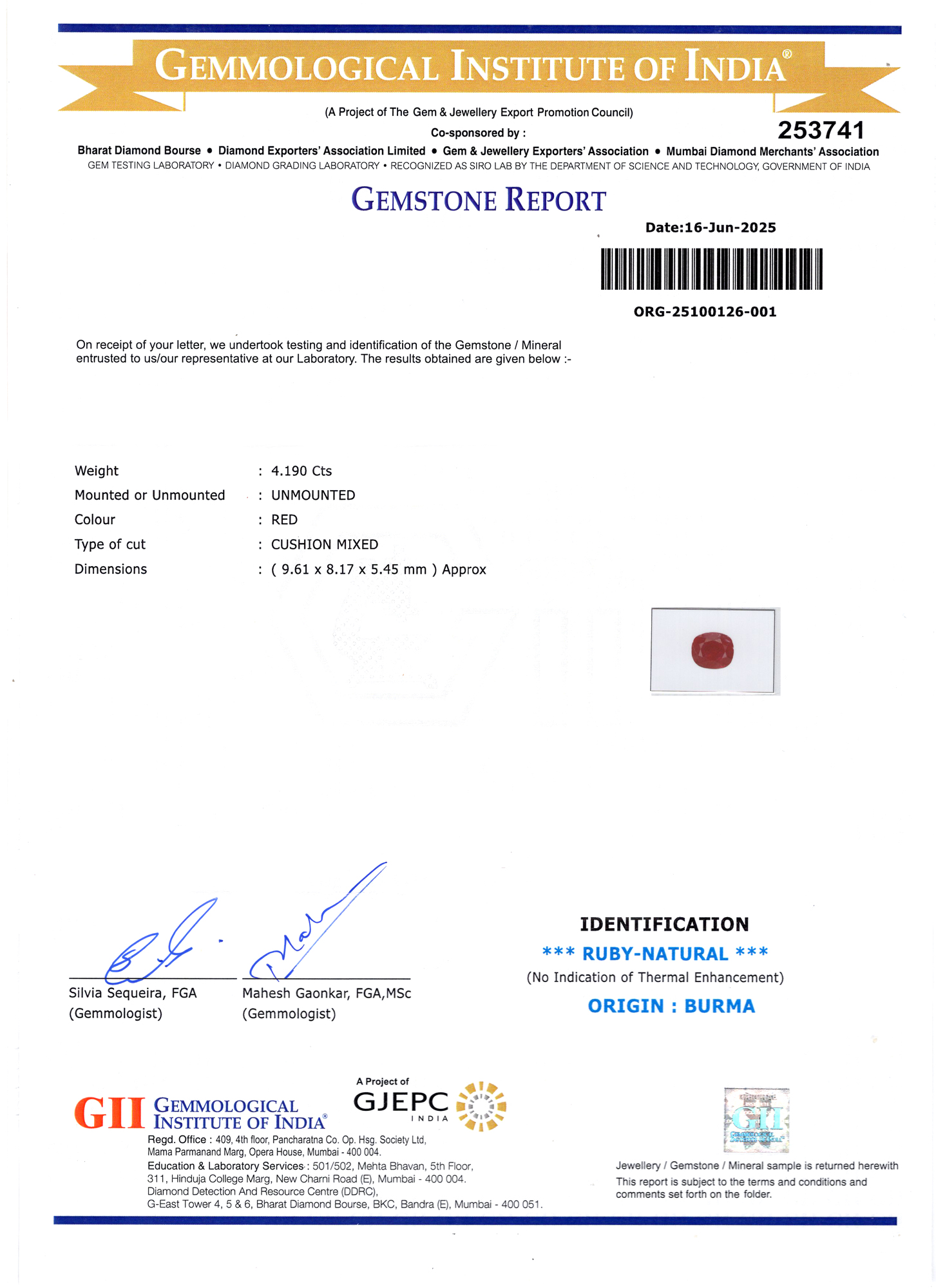 Report Image