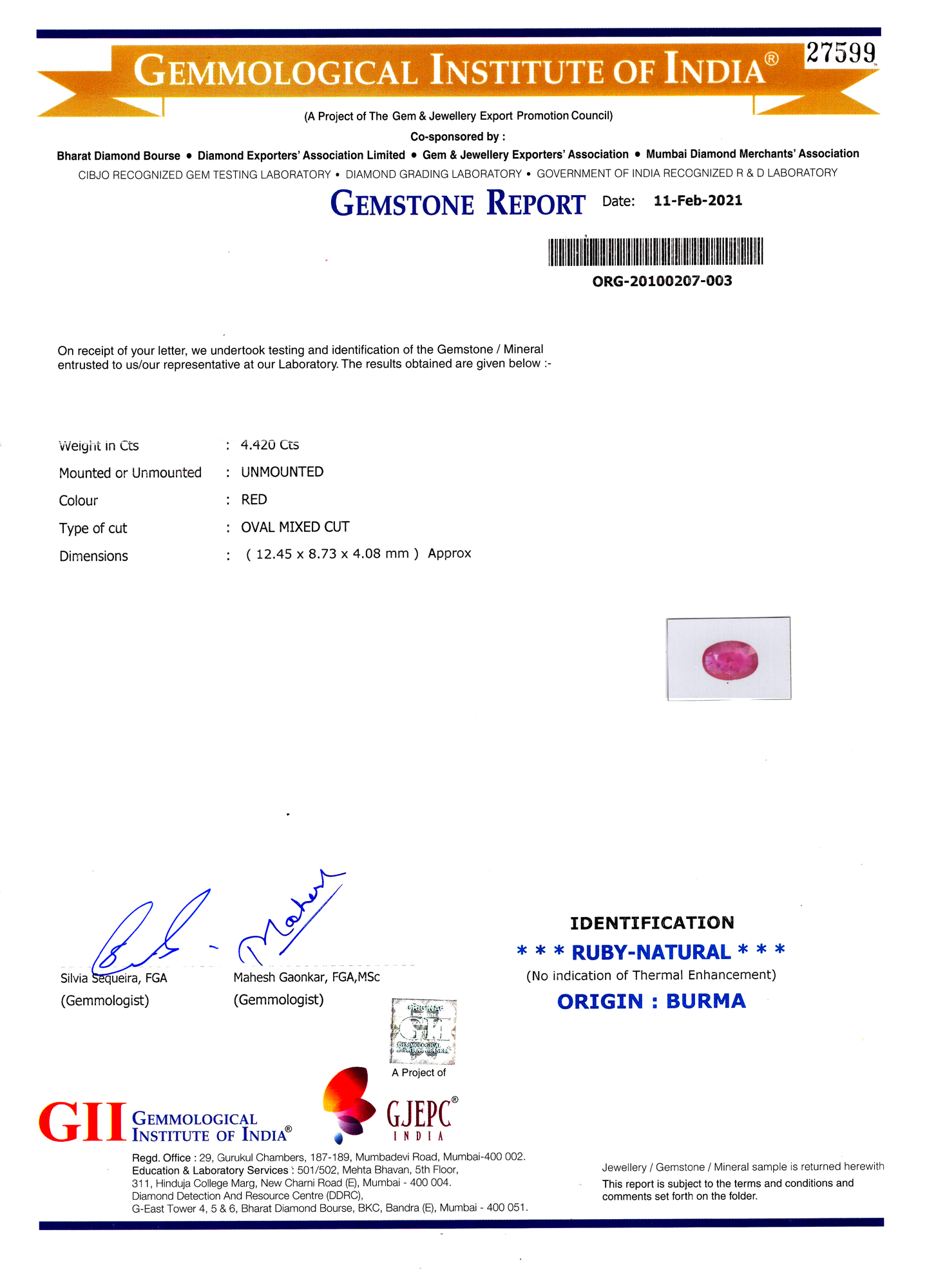 Report Image